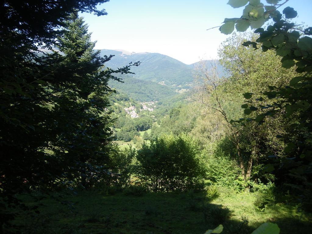 Bed and Breakfast Ferme Du Mouton Noir Lautenbachzell Esterno foto